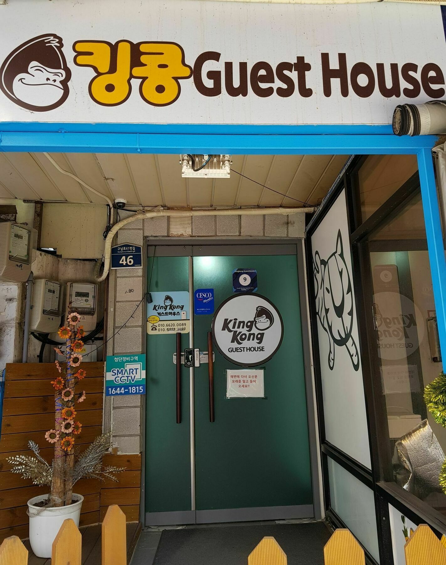 Kingkong Guesthouse Puszan Kültér fotó